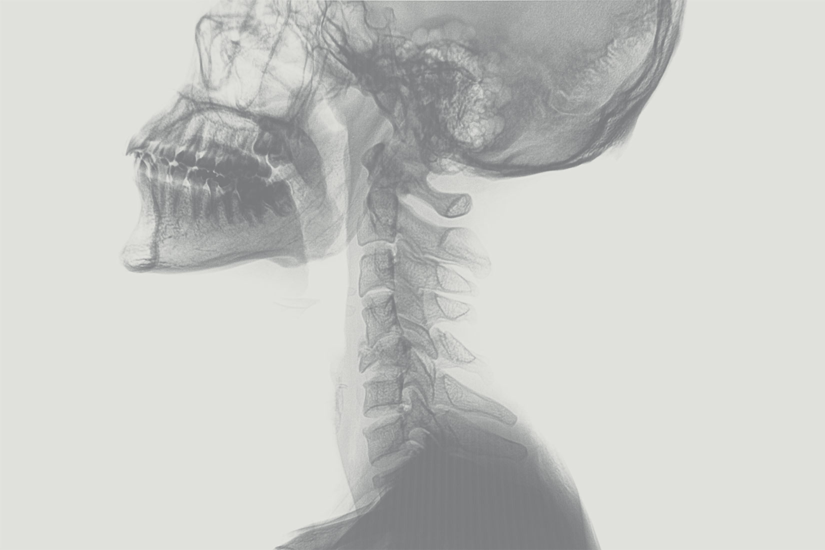Gamma & Gray Headerbild Startseite