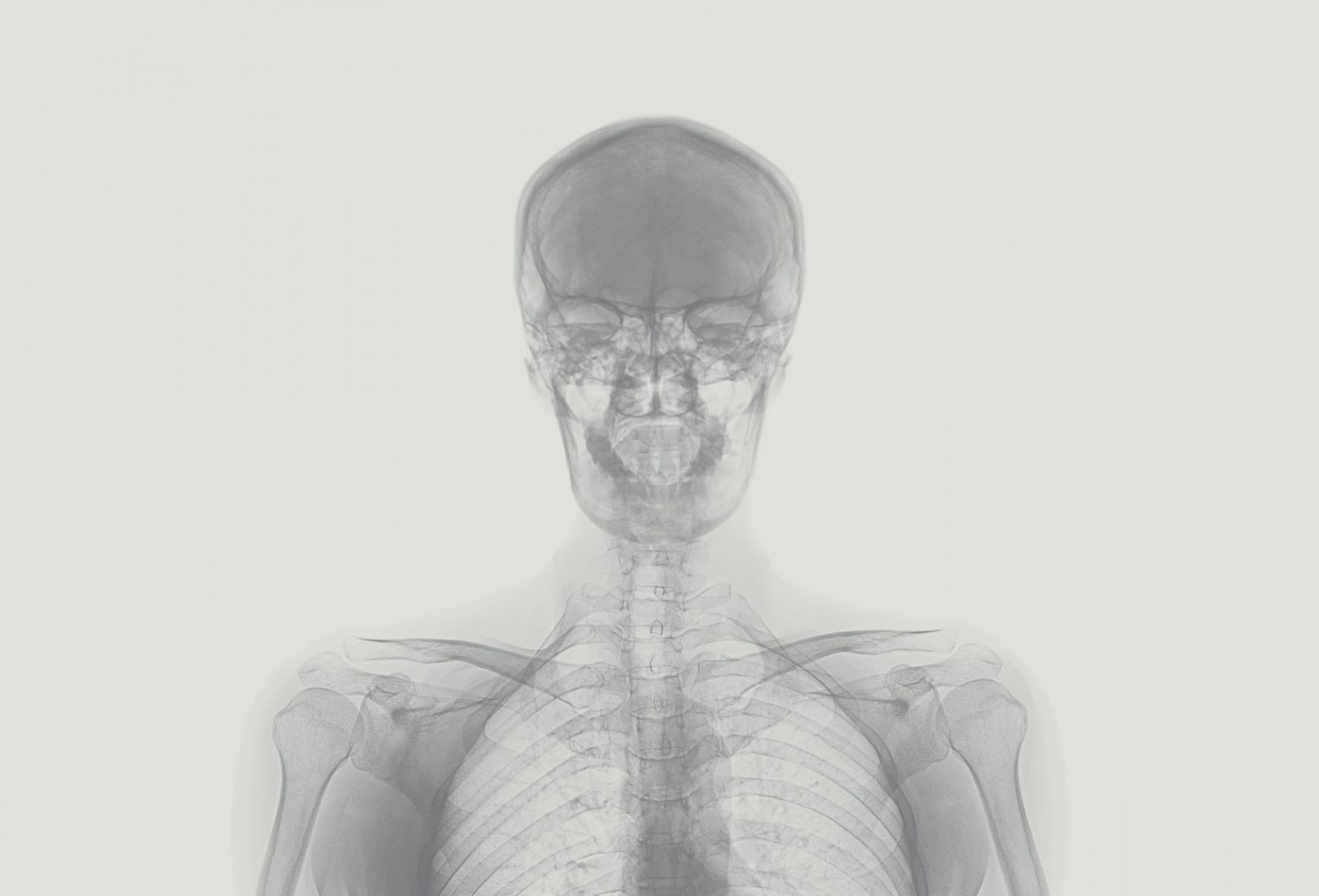 Headerbild Unternehmen